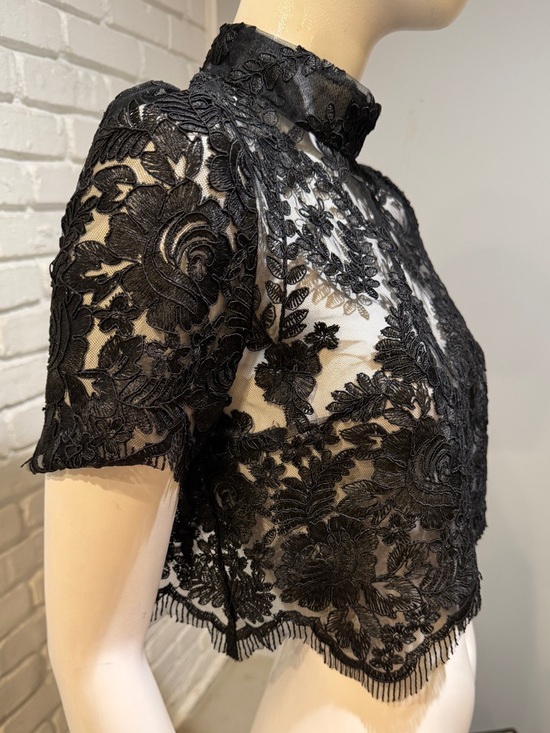 Stone Cold Fox Black Embroidered Lace Crop Top M Mock Neck Sheer Luxe NWOT - Picture 4 of 13
